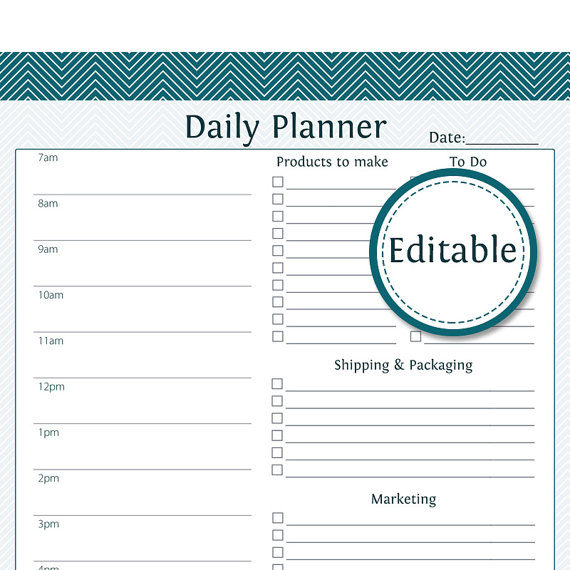 Daily Business Planner Fillable Business Planner