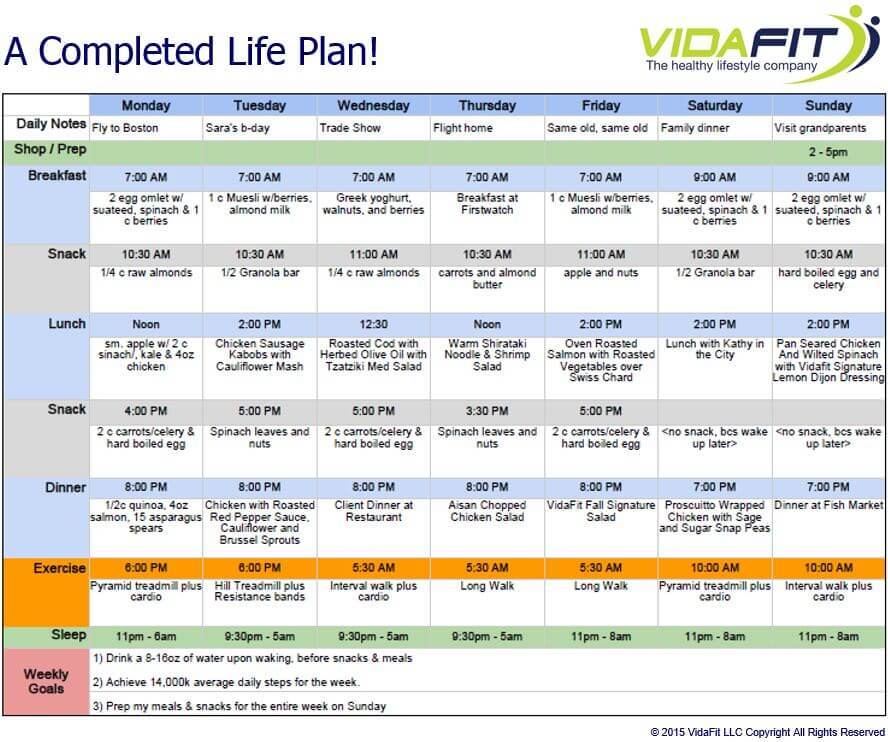 Life and Meal Planning Template VidaFit | Meal Delivery 