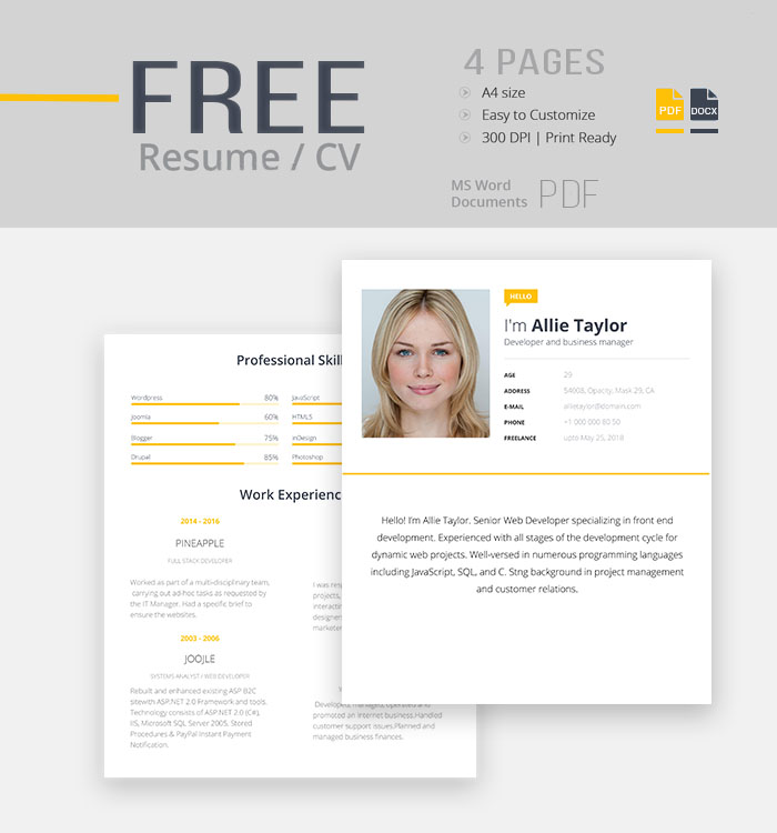 Apple Pages Resume Template Download Apple Pages Resume Template 