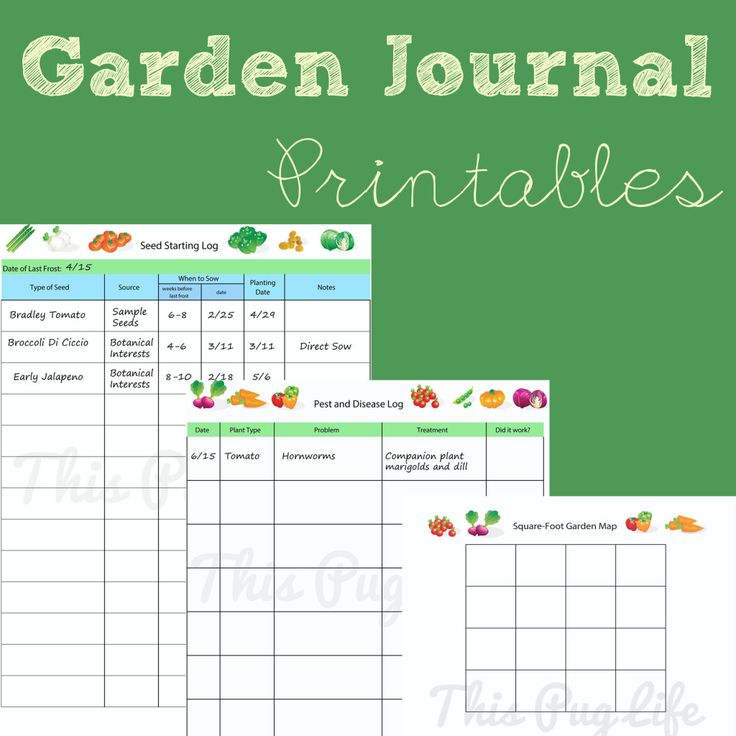 Best 25+ Free garden planner ideas on Pinterest | Garden planner 