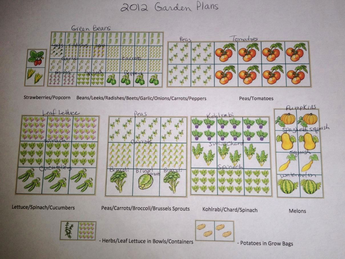 Garden Planning: the Ultimate Printable Garden Planner ~